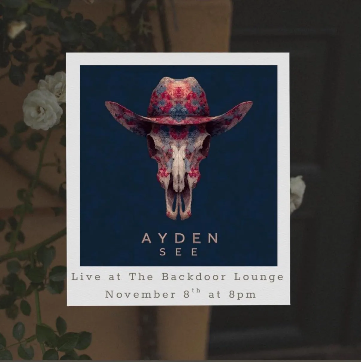 Graphic for Ayden See solo performance at Backdoor Lounge in Kenai, Alaska on November 8, 2025.